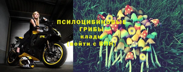 хмурый Алзамай