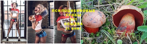 хмурый Алзамай