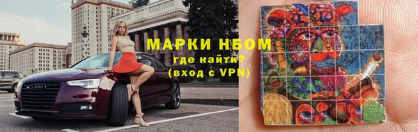 хмурый Алзамай