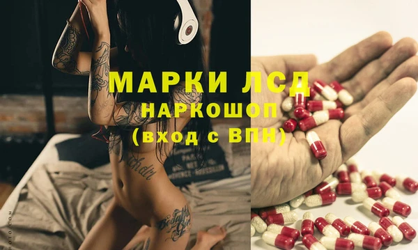 хмурый Алзамай