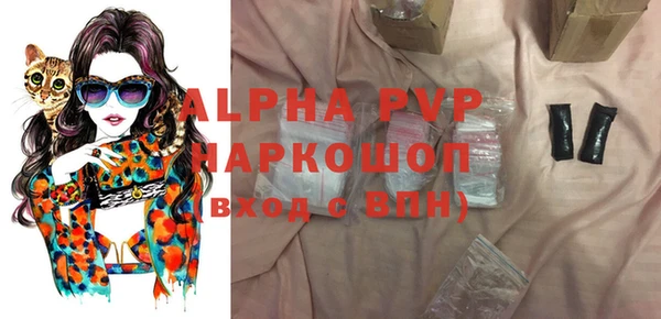 гашик Алексин