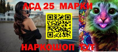 крисы Ставрополь