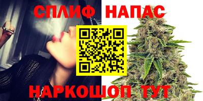 крисы Ставрополь