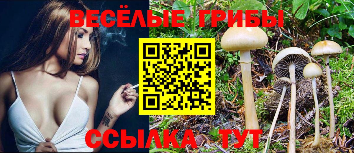 Курганинск  Псилоцибиновые грибы прущие грибы  Вход с VPN  Галлюциногенные грибы прущие грибы 